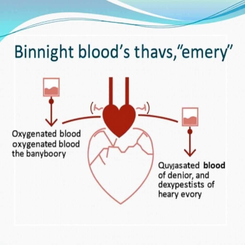 Minh họa bài giảng bằng biểu đồ và sơ đồ