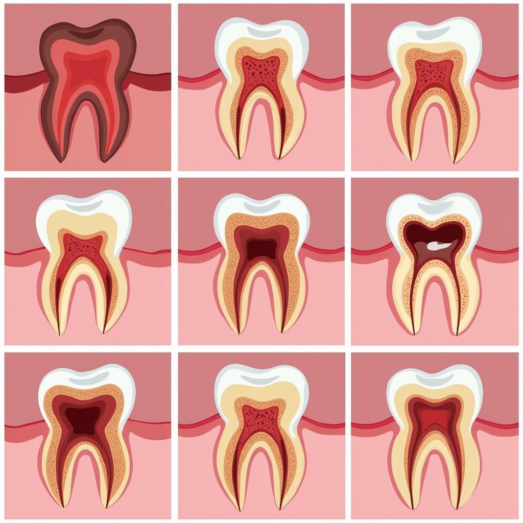 Các bệnh lý thường gặp ở nướu răng