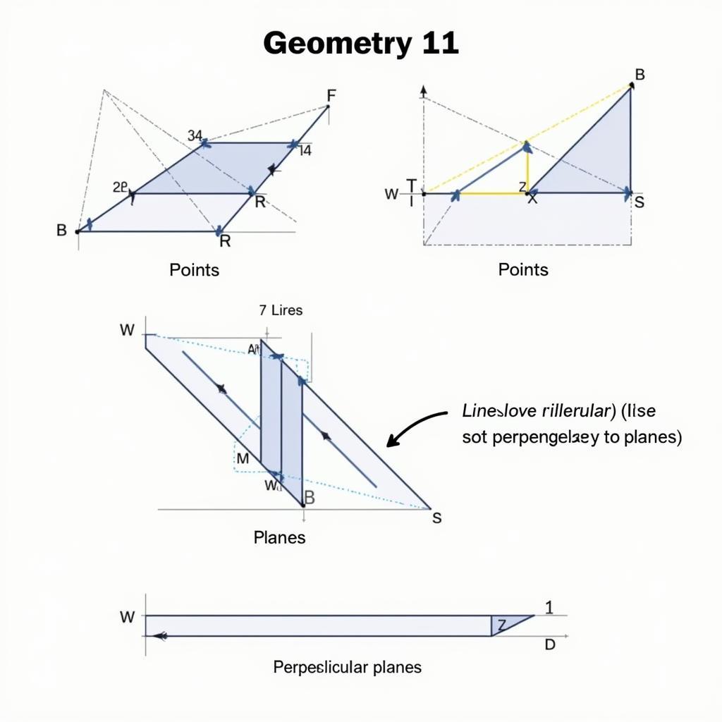 Basic concepts of Geometry 11