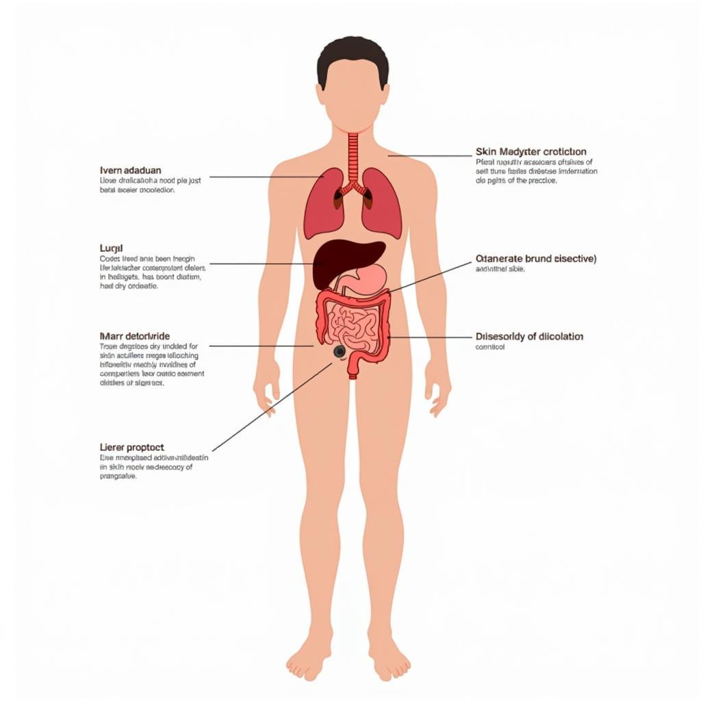 cơ chế giải độc tự nhiên của cơ thể