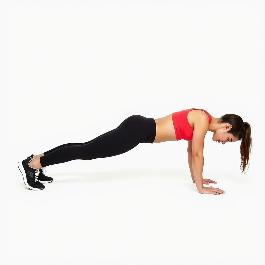  Bài tập plank cơ kết cấu 2 cơ