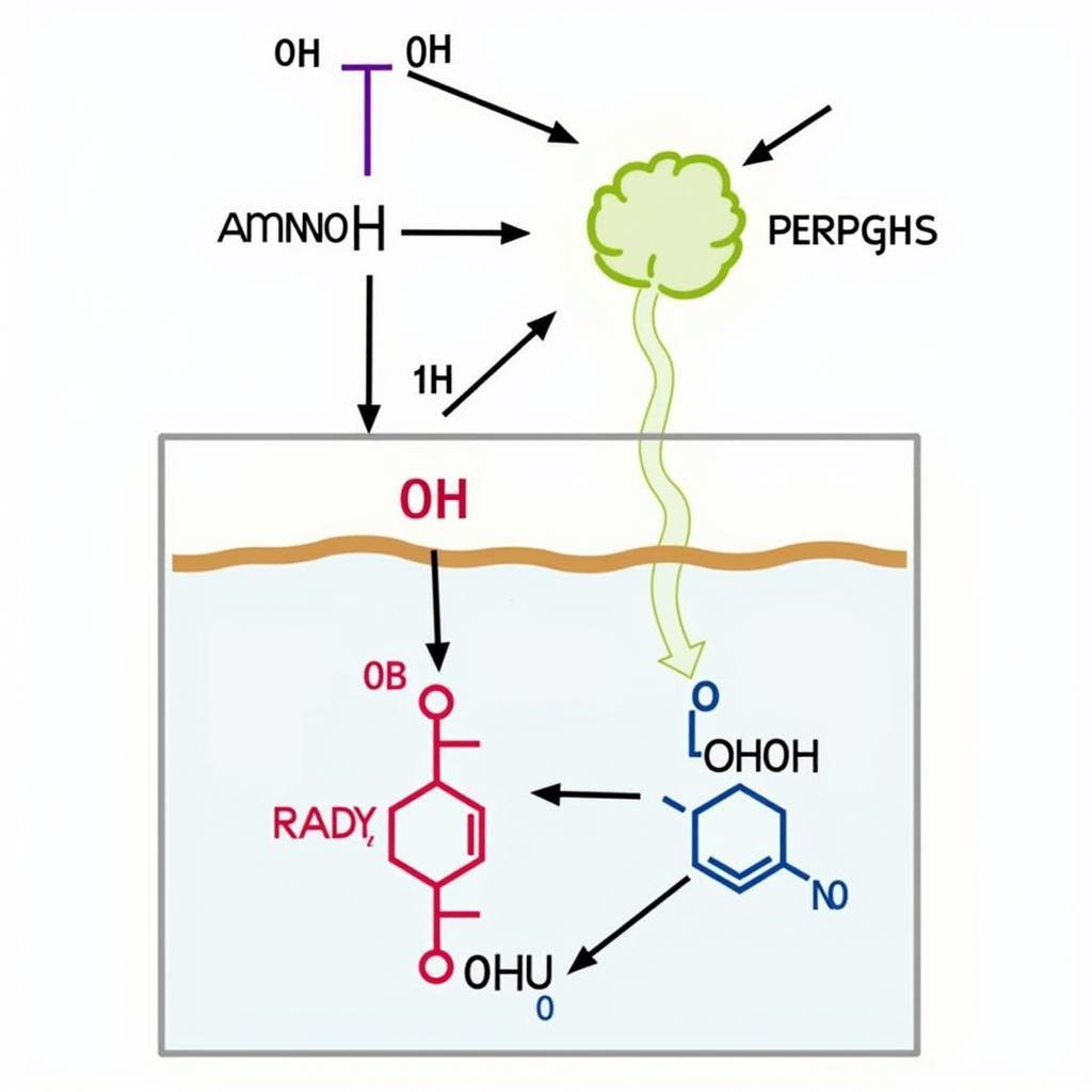 Thủy phân peptit trong môi trường axit