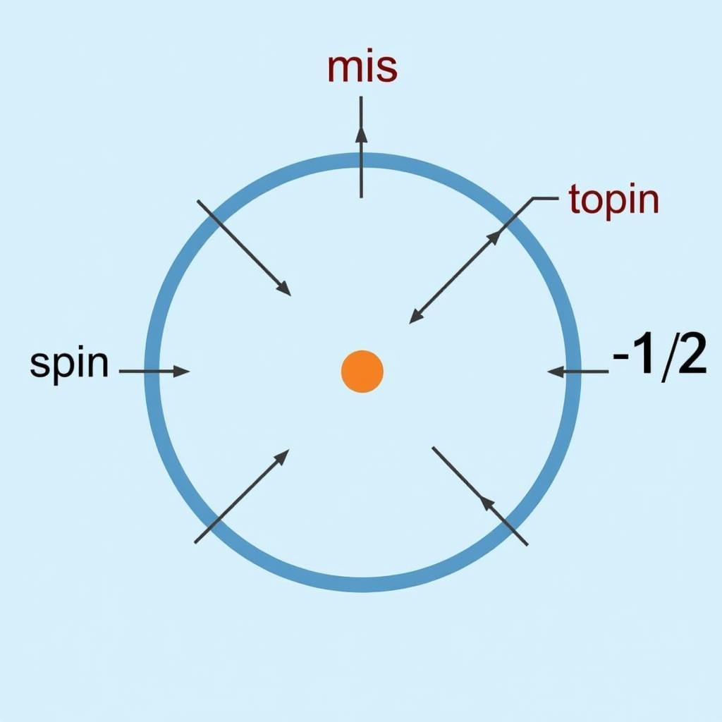 Bài tập 4 số lượng tử: Spin electron