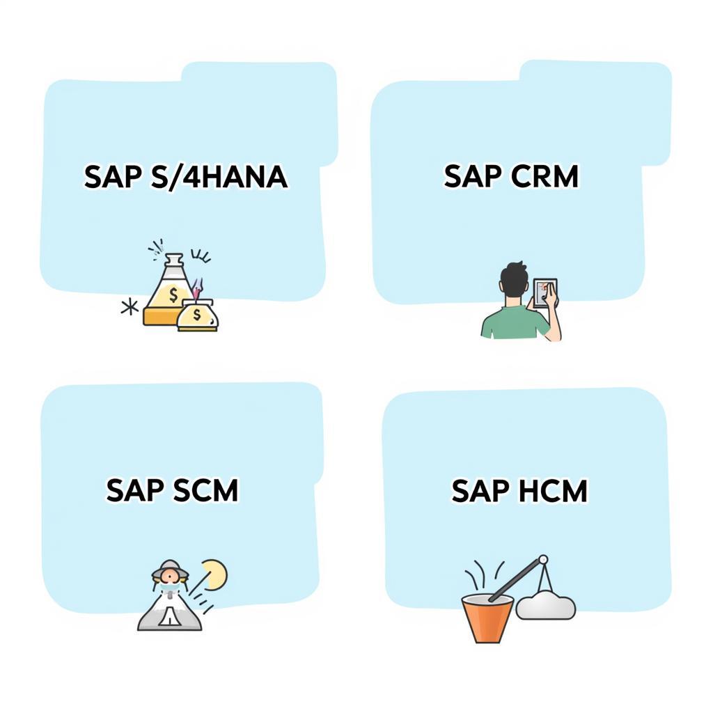 Các loại hình giải pháp SAP