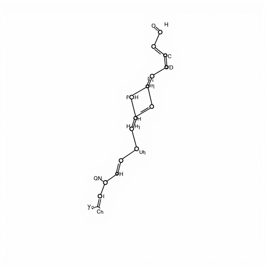 Cấu trúc của một peptit