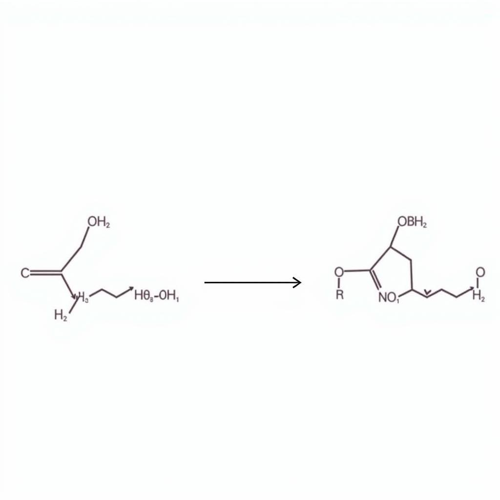 Liên kết peptit trong phân tử peptit