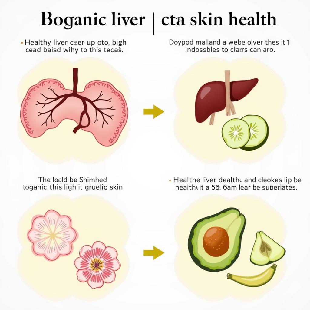 Ảnh hưởng của giải độc gan Boganic đến làn da